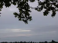 P1030585.webp