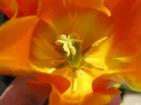 100521 010_Bildgröße ändern.webp