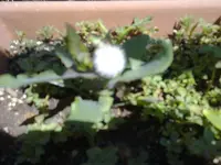 26052010621.webp