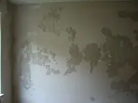 CIMG3224.webp