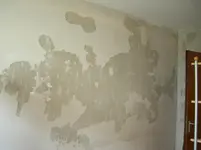CIMG3226.webp