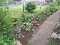 27.5.2010 038.webp