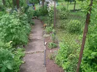 27.5.2010 041.webp