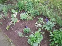 27.5.2010 048.webp