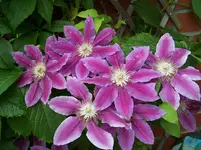 100_2371.webp
