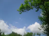 27.5.2010 052.webp