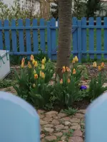 Bauerngarten Weg.webp