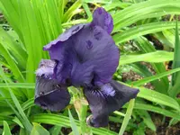 IMG_swahili1_1024x768.webp