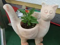 maja-katze-sonnengut.webp