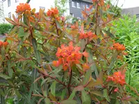 IMG_5405_1024x768.webp