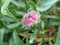 IMG_5410_1024x768.webp