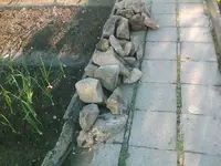 meine Ausbeute - 27.05.2010.webp