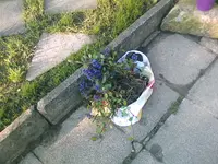meine Ausbeute3 - 27.05.2010.webp