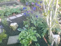 meine Ausbeute7 - 27.05.2010.webp