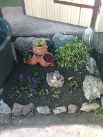 meine Ausbeute9 - 27.05.2010.webp