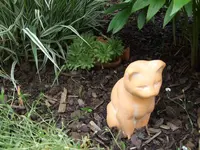 katze mit tonwurz.webp