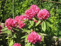 IMG_2357.webp