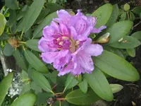 IMG_2570.webp