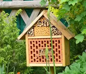 Insektenhotel 1.webp