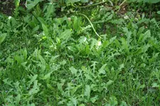 IMG_5485.webp
