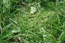 IMG_5488.webp