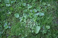 IMG_5489.webp