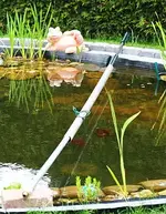 Seerosenwuchshilfe_klein.webp