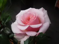 28-05.2010 012.webp