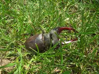 CIMG9673.webp