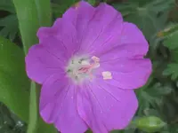 026.webp