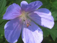 023.webp