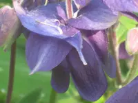 035.webp