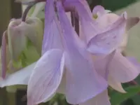 038.webp