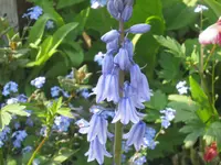 044.webp