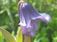 047.webp