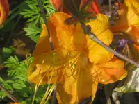 015.webp