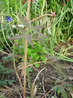 IMG_1347.webp