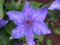 Garten 052.webp