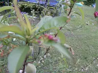CIMG1017.webp