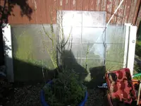 IMG_6754 Wintergartenscheiben.webp