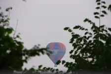 8.webp
