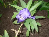 28-05.2010 001.webp