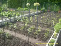 Garten 009.webp
