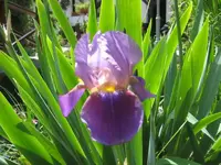 IMG_2668.webp