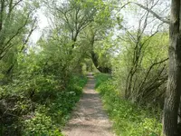 Spaziergang im Mai.webp