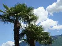 Urlaub Brissag 22.5. -29.5.10 095.webp