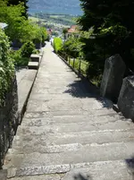 DSC03103.webp