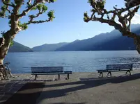 DSC03362.webp