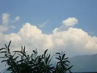 DSC03202.webp