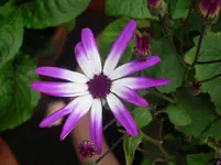 29.05.2010 005.webp